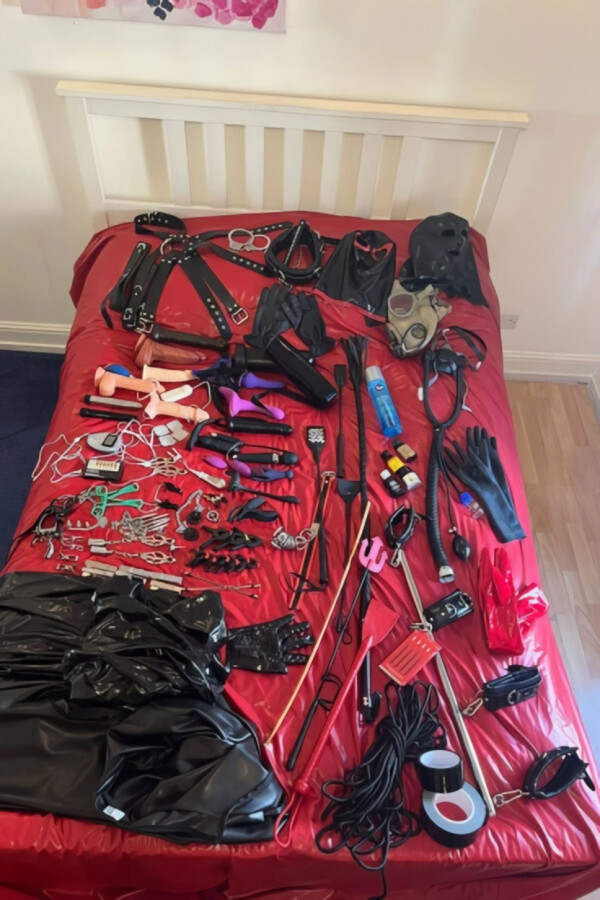 A huge number of sexy sex toys laid out on a bed